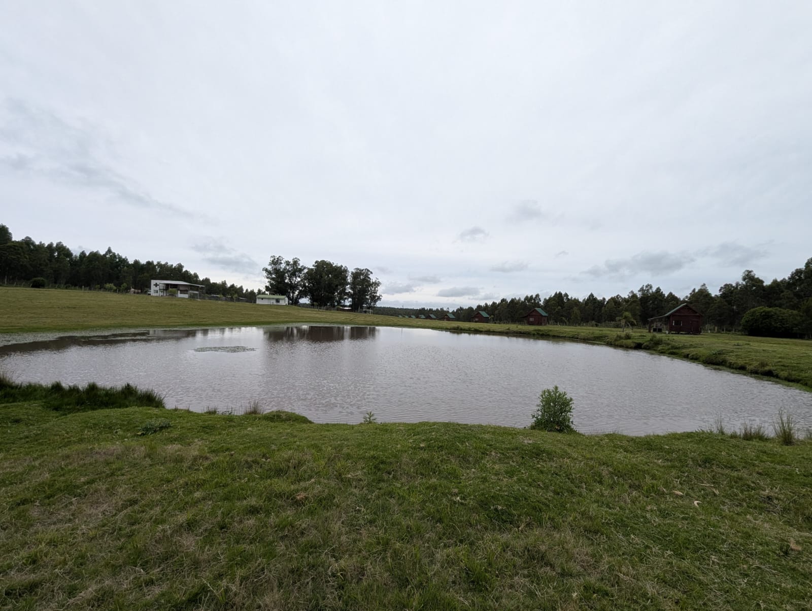 2601_WhatsApp Image 2025-12-24 at 11.42.56 (2).jpeg